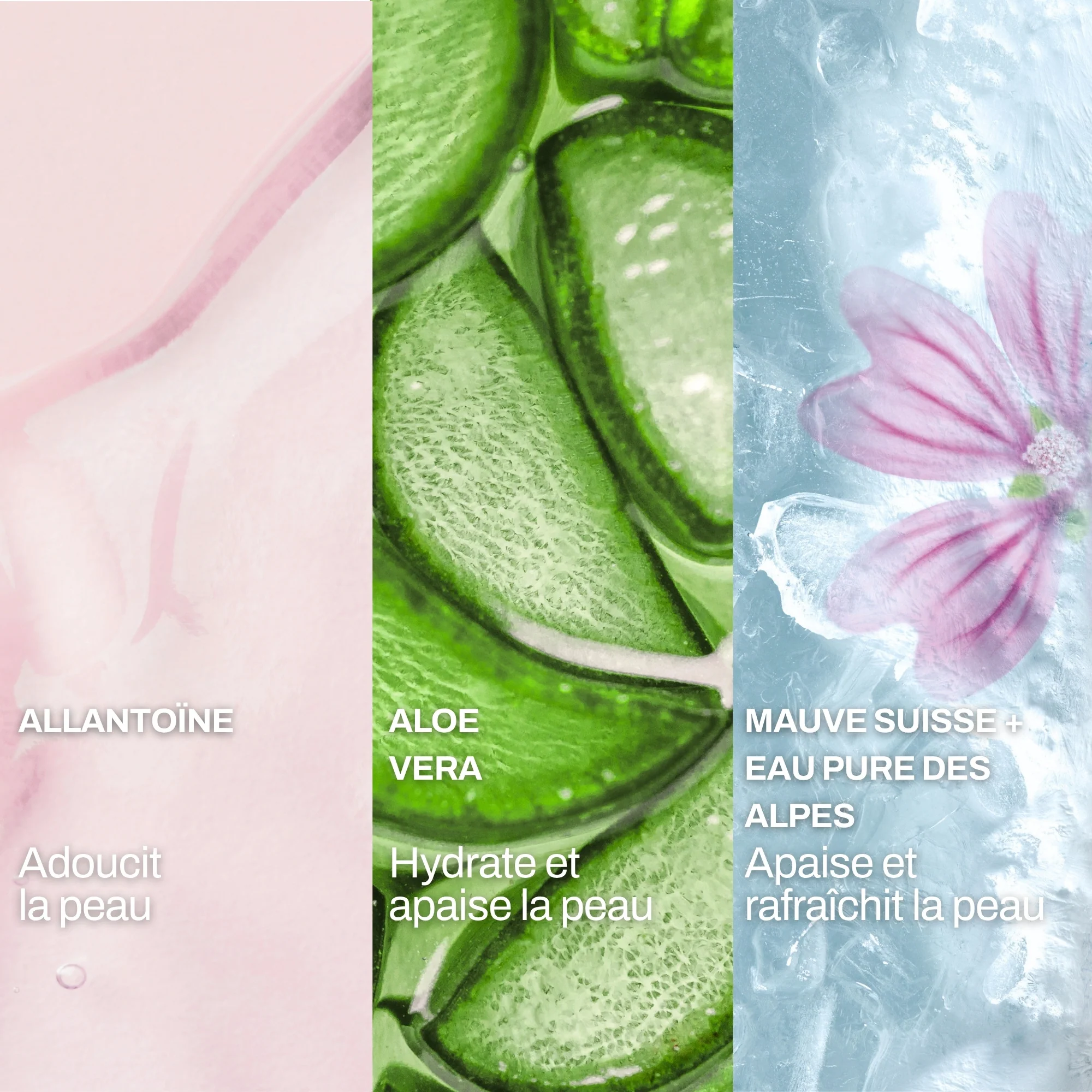 Lotion Tonique Caresse Clean & Comfort - Image 6