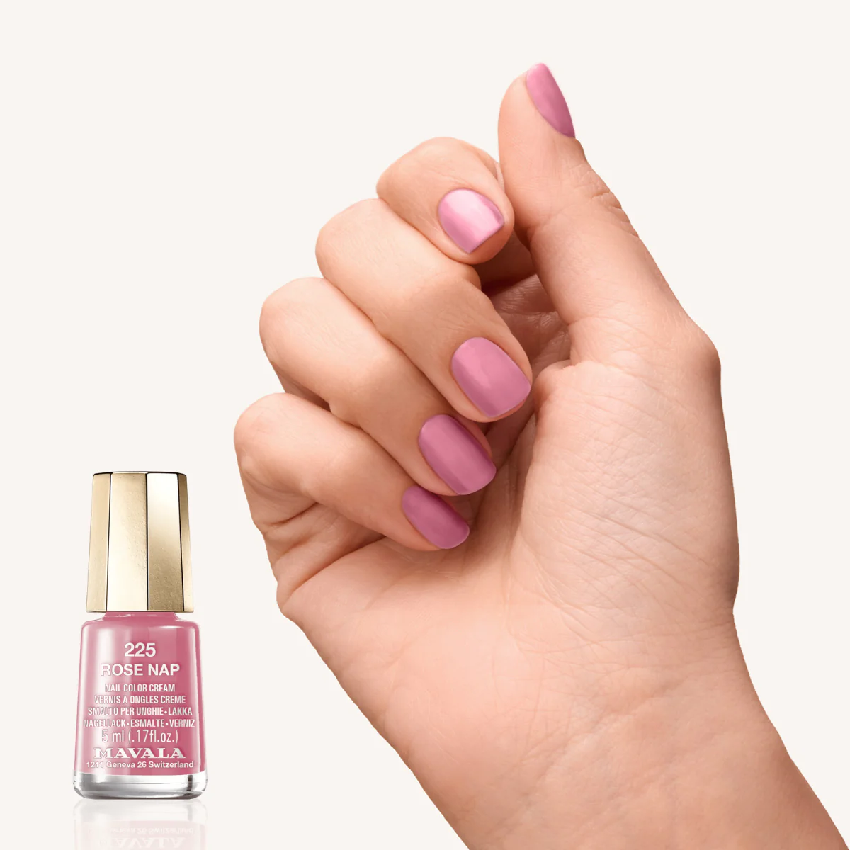 Coffret Rose Sweet Rose - Image 4