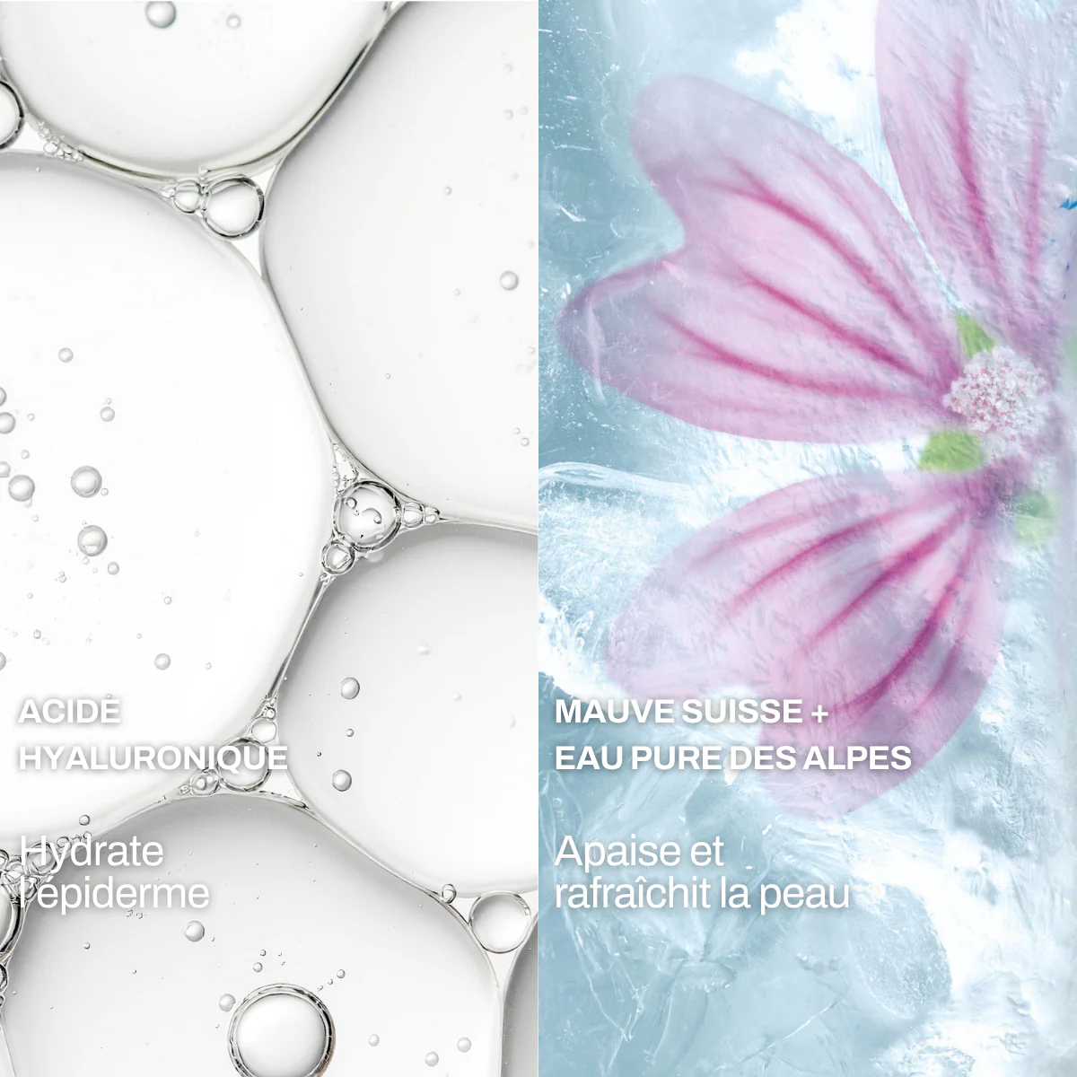 Routine Soin Visage Hydratant - AQUA PLUS - Image 6