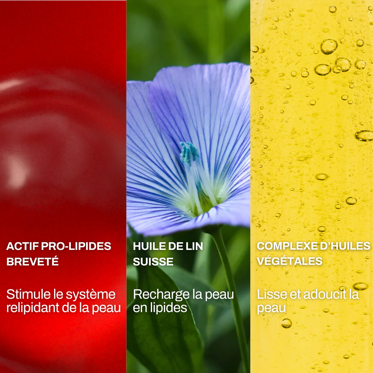 Routine Soin Visage Peau Sèche - NUTRI-ELIXIR - Image 6